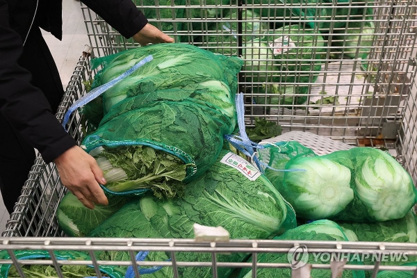 김장철 배춧값 안정세…10개월 만에 한포기 2천원대로