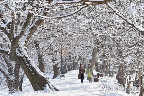 담양 적설량 8㎝…전남 5개 시군 대설주의보